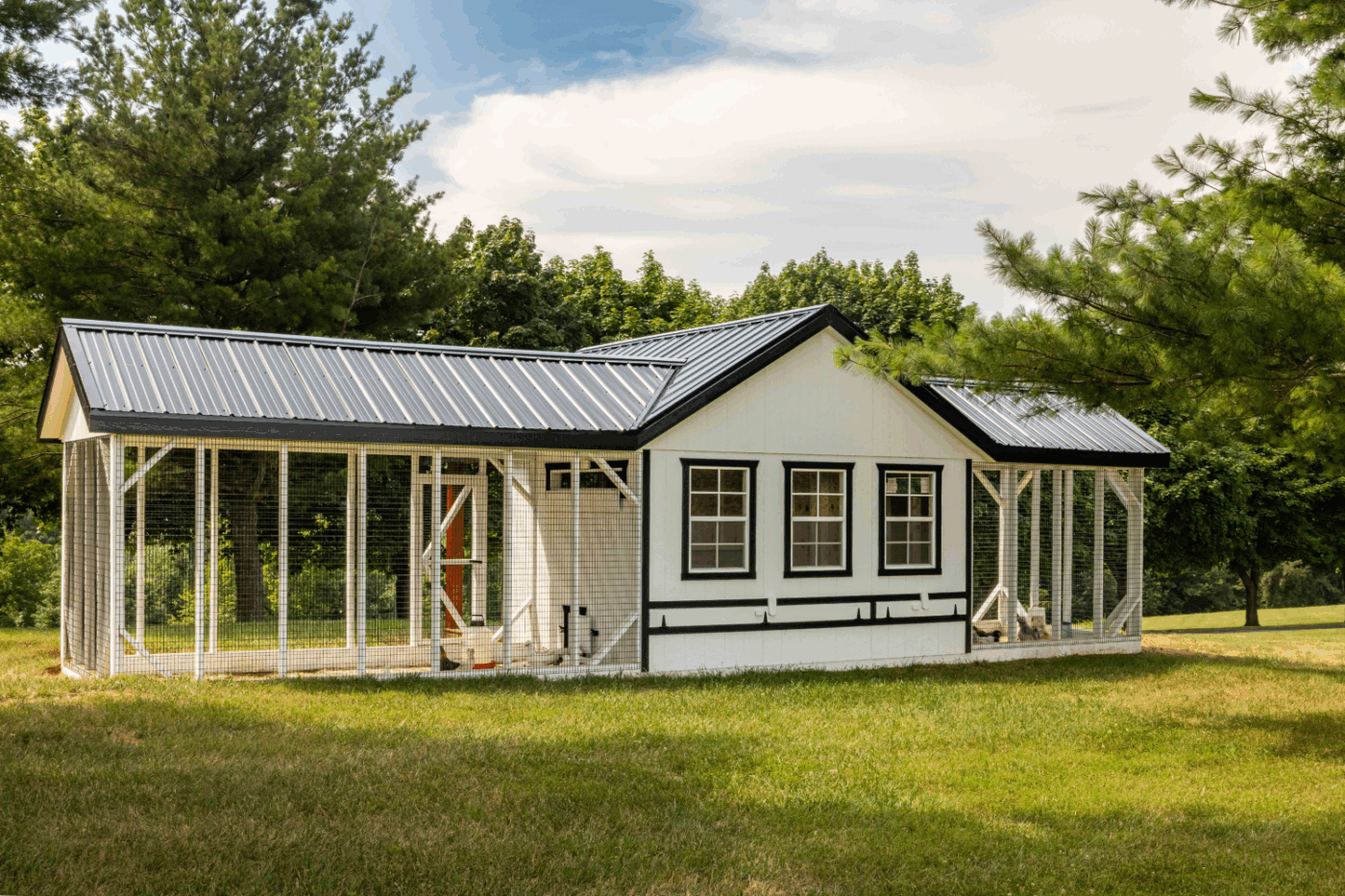 large coop with run for chickens in missouri