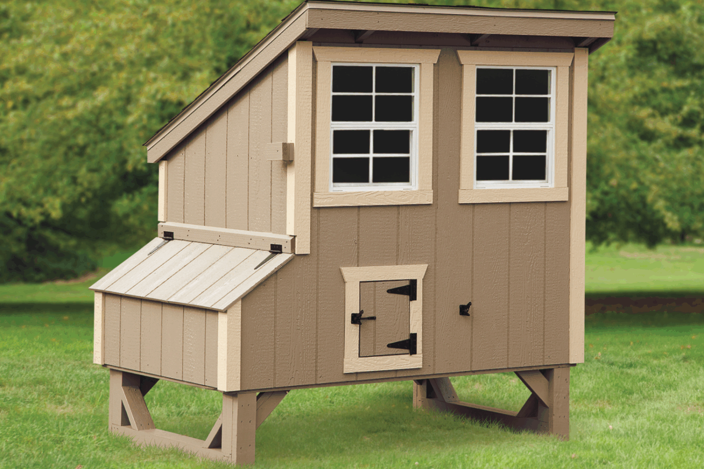 lean to coop for backyard chickens in north carolina