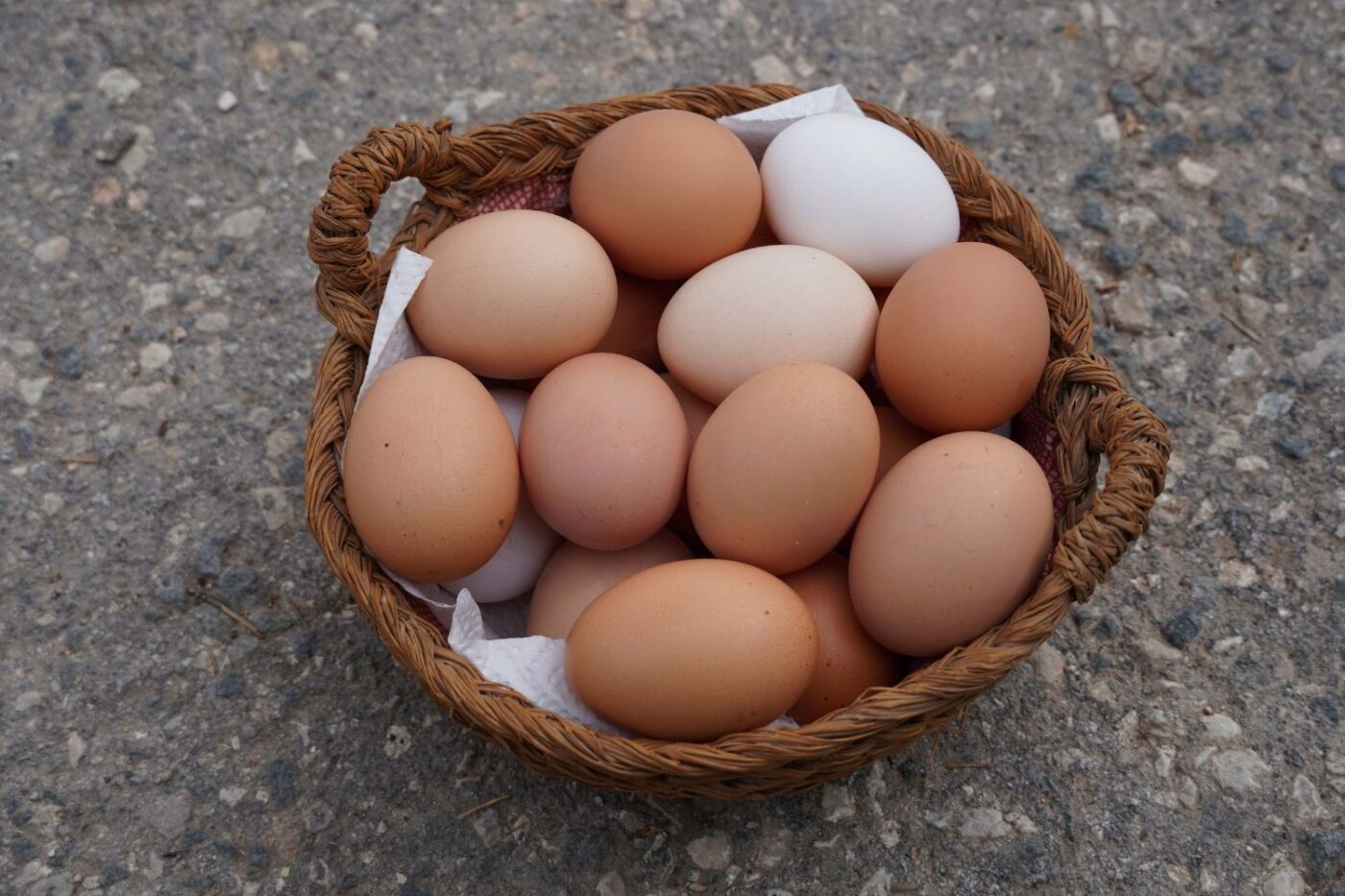can i sell eggs in north dakota