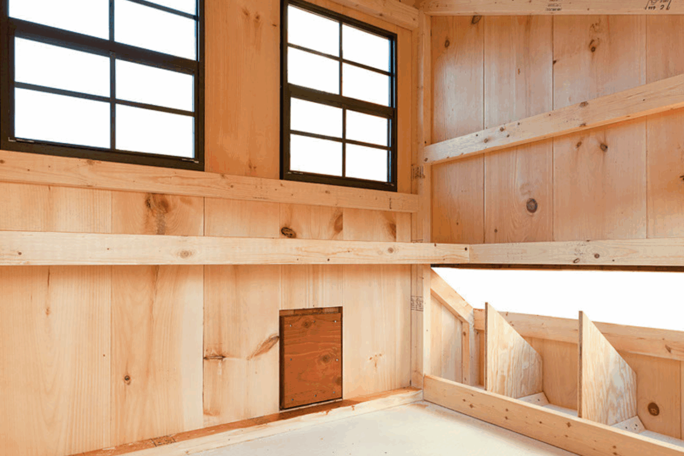 interior of coop for chickens in new york