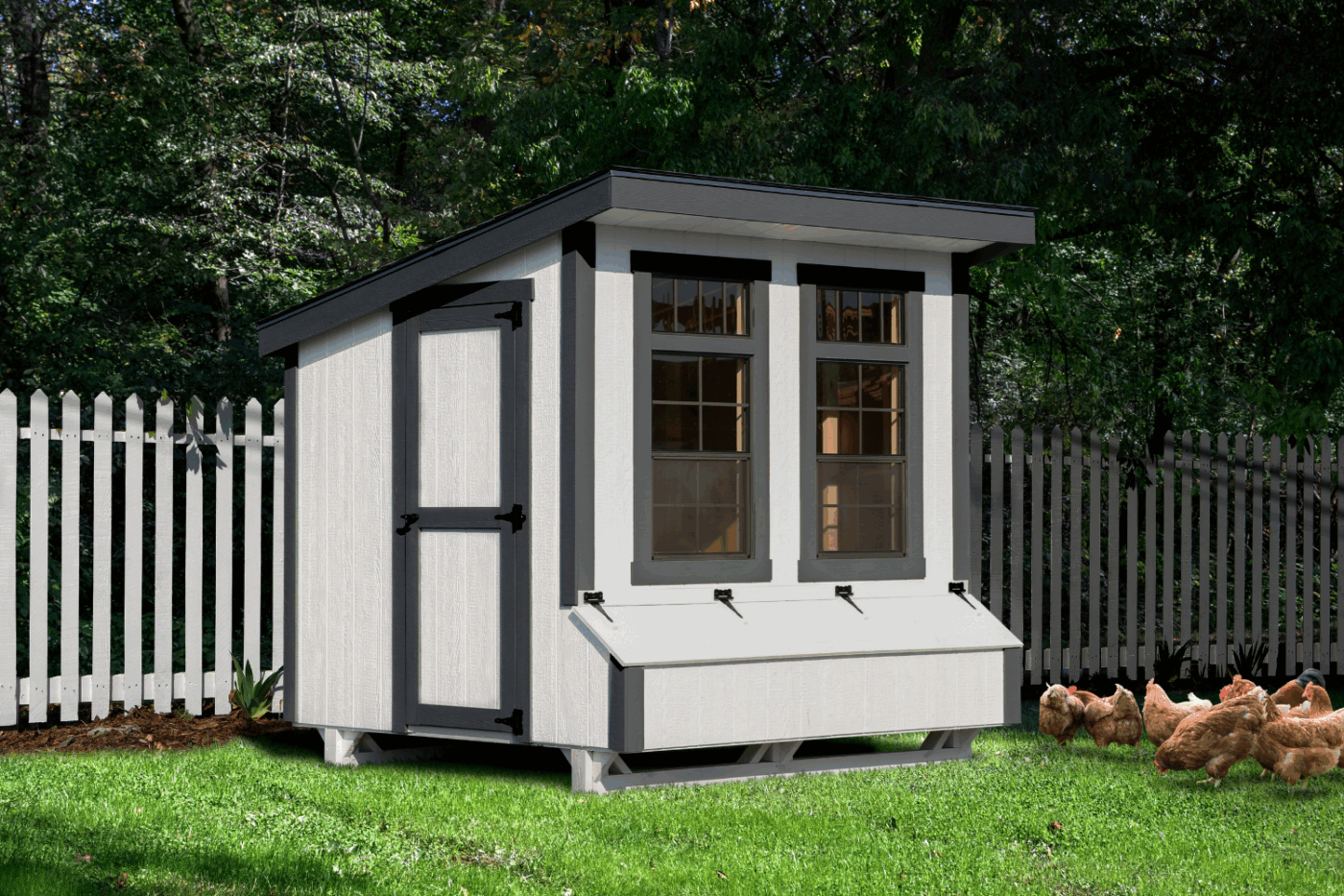 white and black lean to coop for chickens in new york
