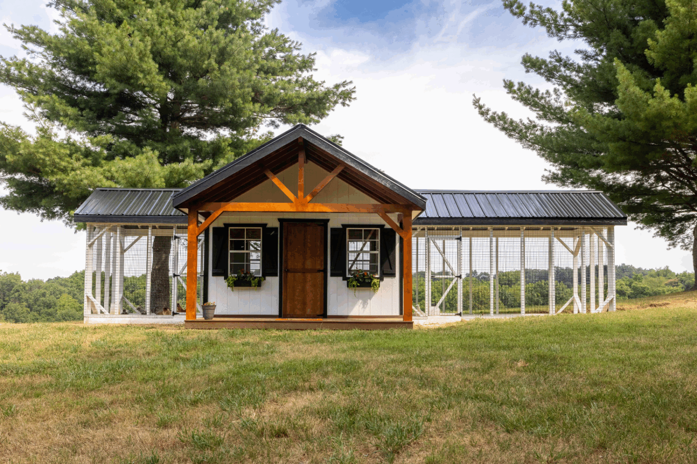 custom combination coop for chicken laws in virginia