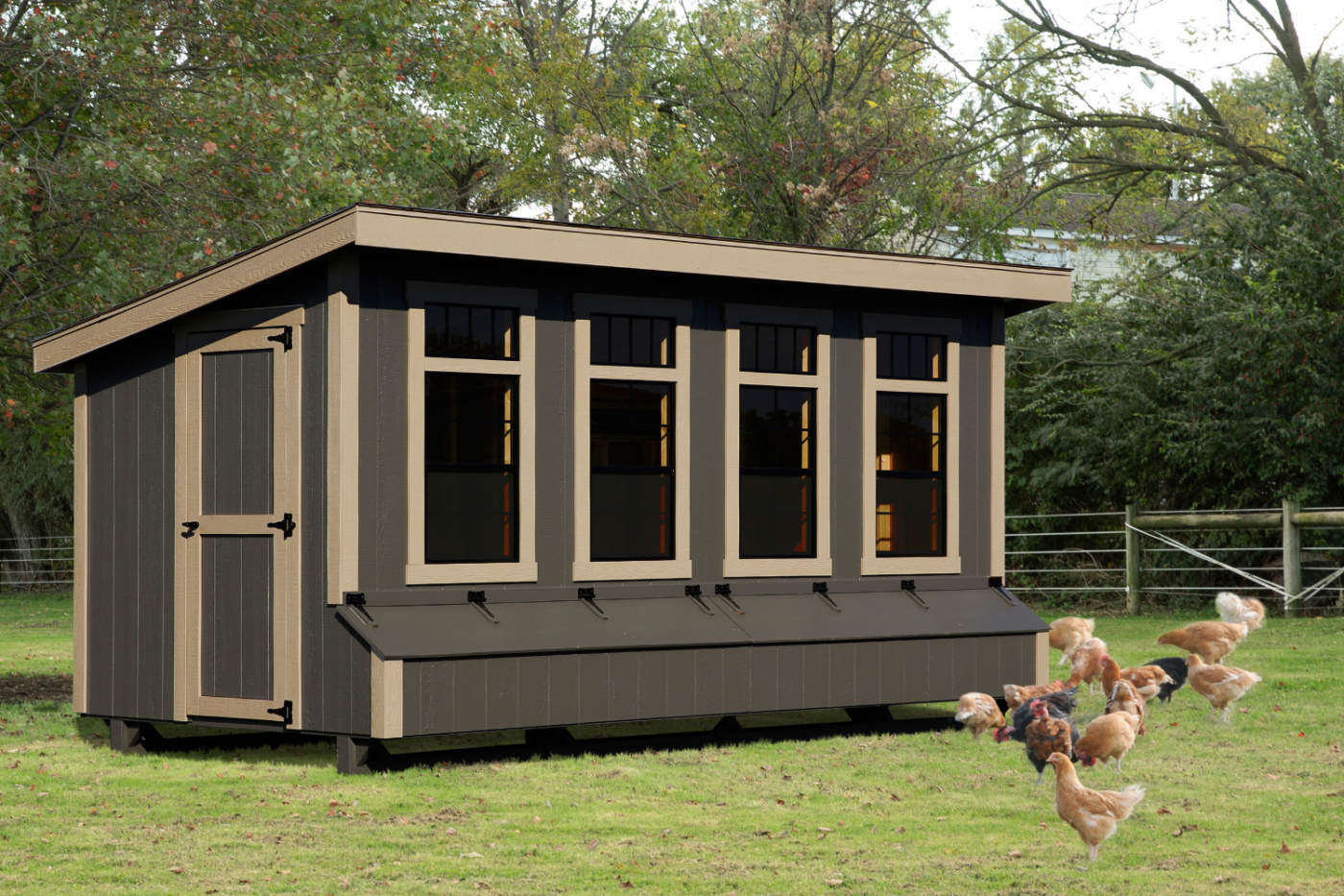 chicken coop for backyard chickens in washington
