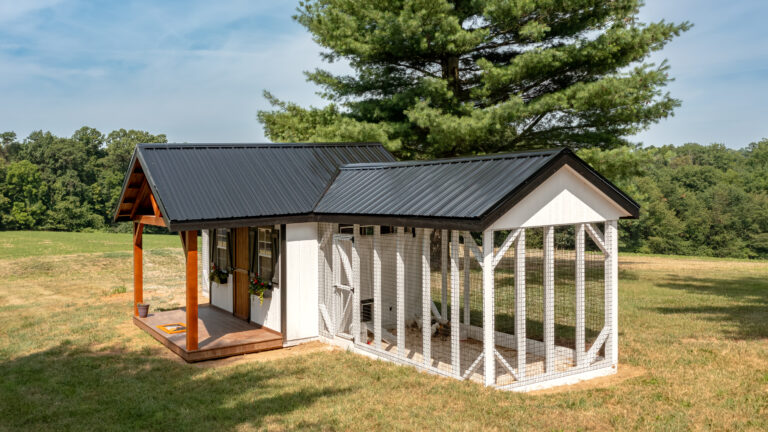 side view of outdoor run on black and white combination coop in York County with front porch