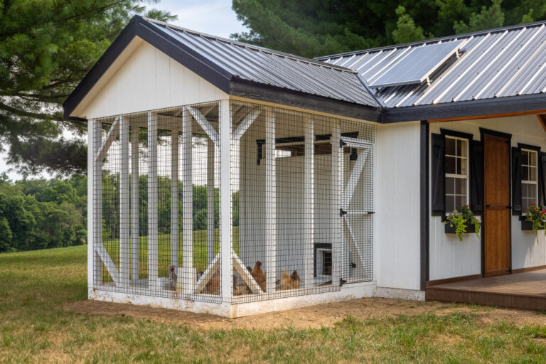 view of side of white and black chicken coop's outdoor run with chickens inside and solar panel on black metal roof