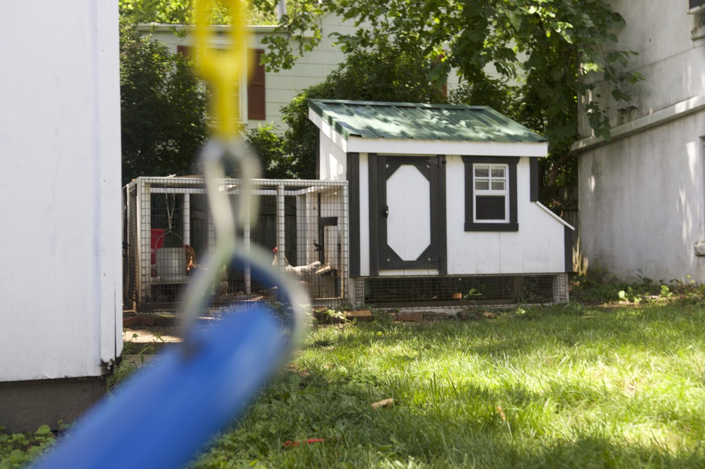 black and white lean to chicken coop in backyard in Riverton NJ