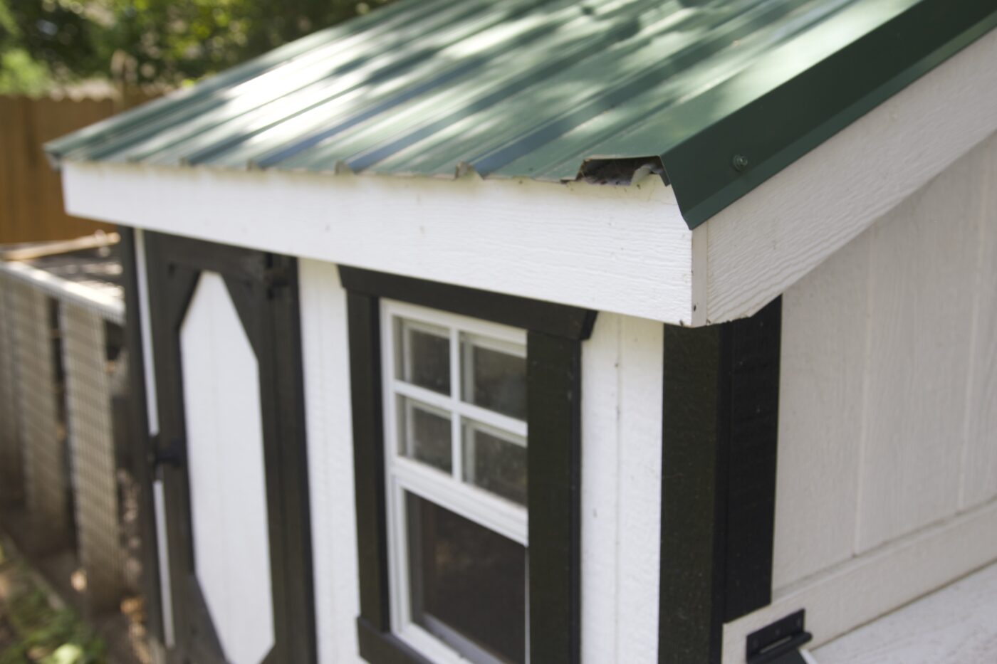green tin roof and one window on chicken coop in Riverton NJ