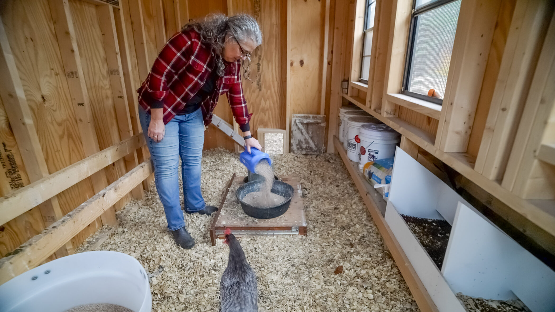 interior view of a 7x12 coop area with woman pouring chicken feed