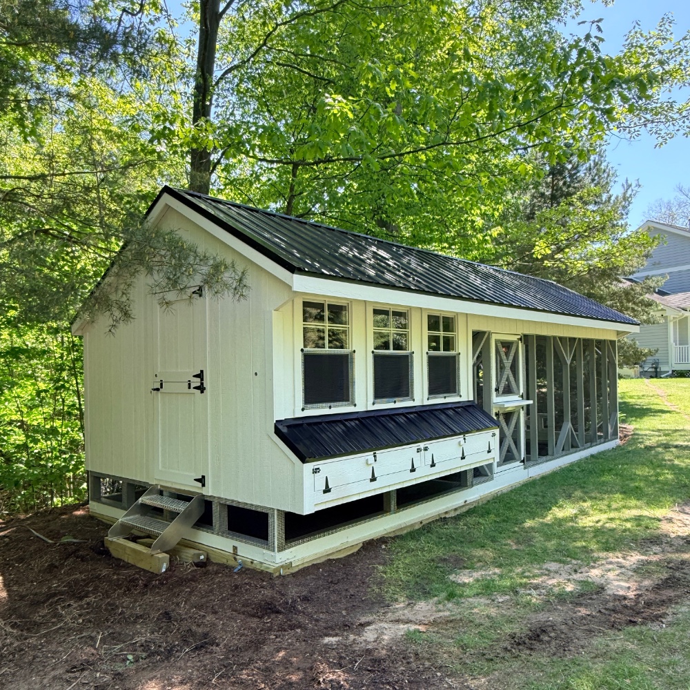 white combination chicken coop
