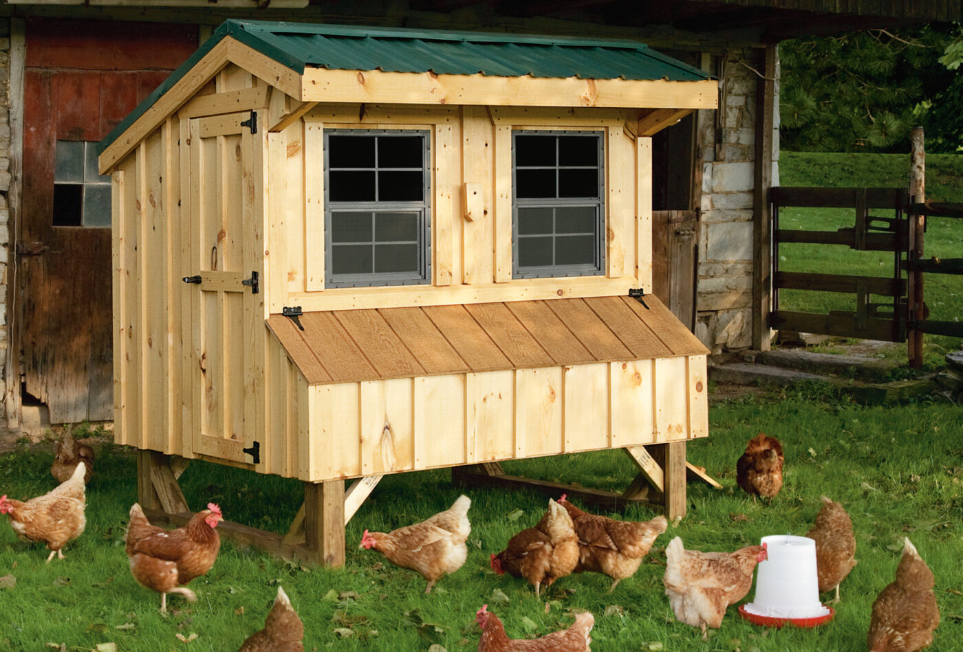 wooden chicken coop with green emtal roof two windows with egg collection box below and chickens arounds feeder in grass