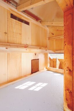 deluxe chicken coops Interior of L35T 1