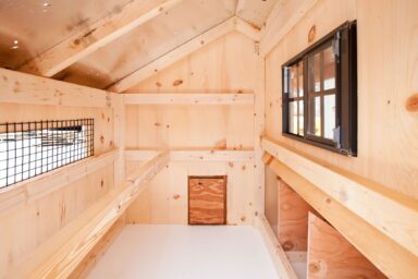 deluxe chicken coops Interior of Q34T Q44T 1