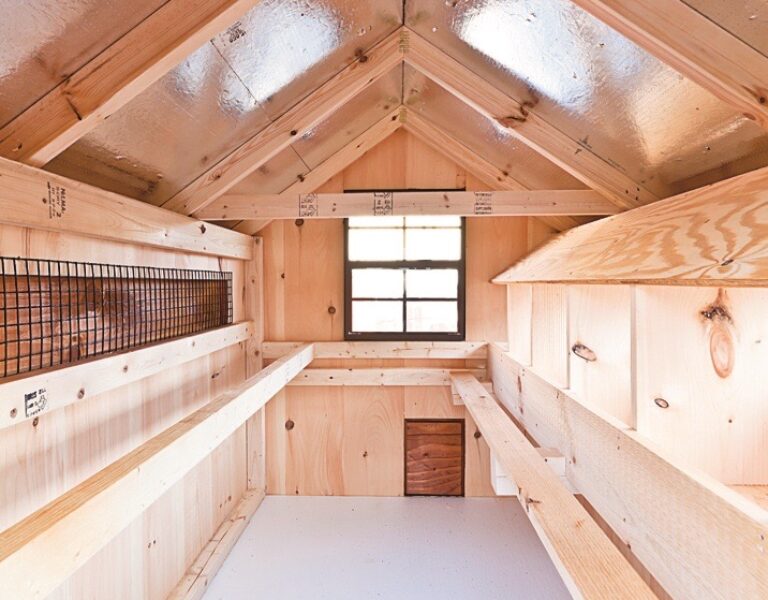 deluxe chicken coops A46 interior view