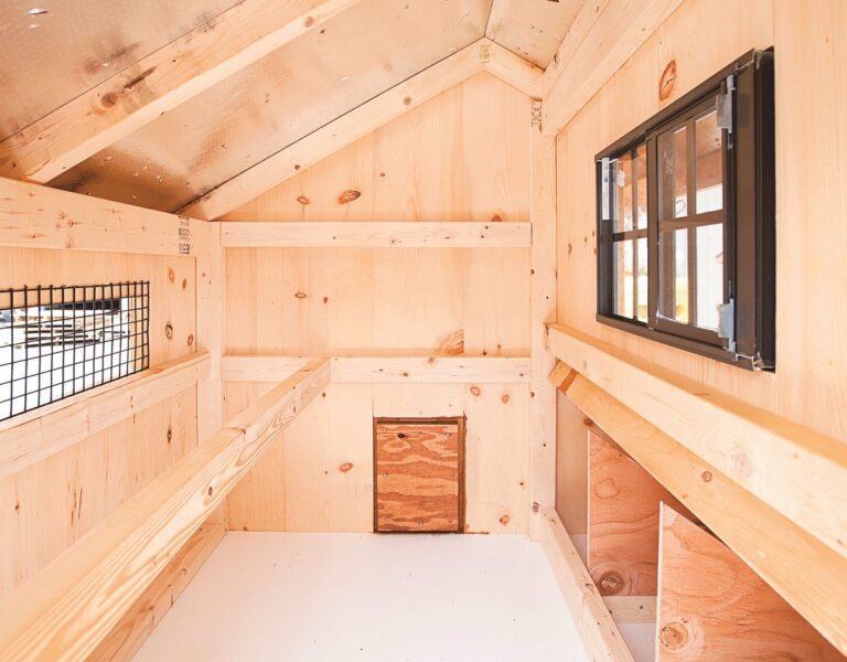 deluxe chicken coops Interior of Q34T Q44T 2