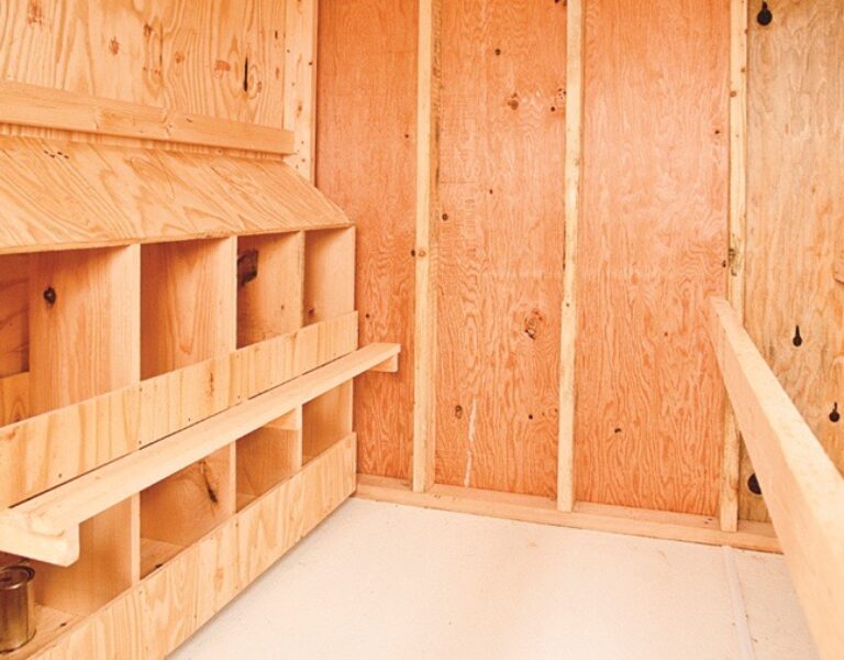 deluxe chicken coops Interior View Of Chicken Area Of A60 A80