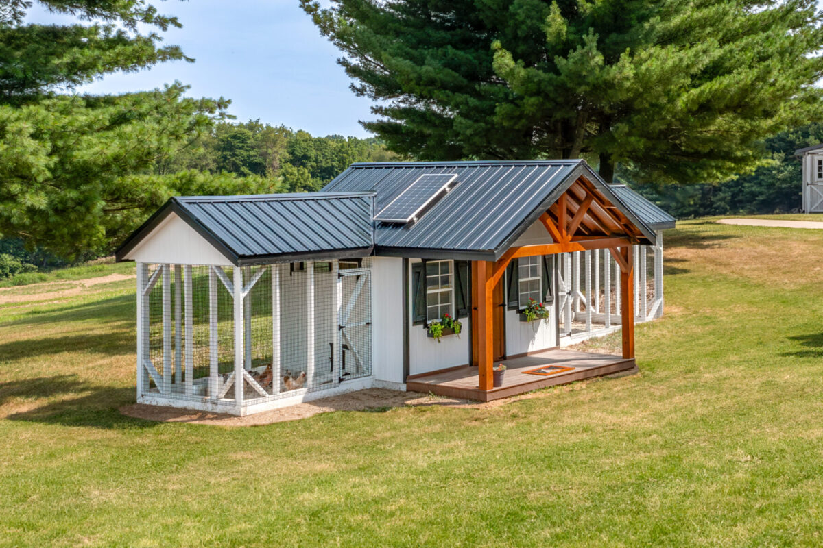 side angle od white and black trimmed chicken coop with wooden front porch two outdoor runs and black metal roof with solar panel on top