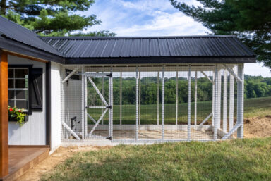 view of outdoor run attatched to black and white chicken coop with black metal roofing