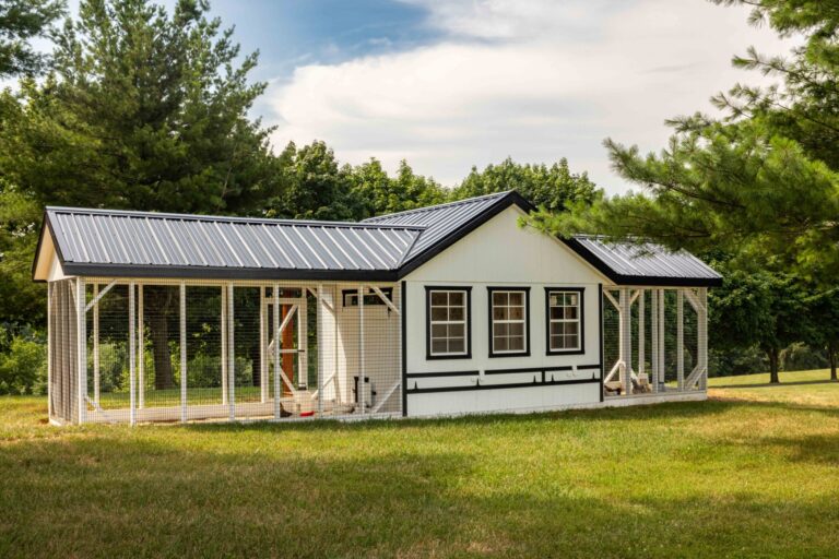 back of chicken coop and run with three windows and black metal roof featuring run on either side of coop