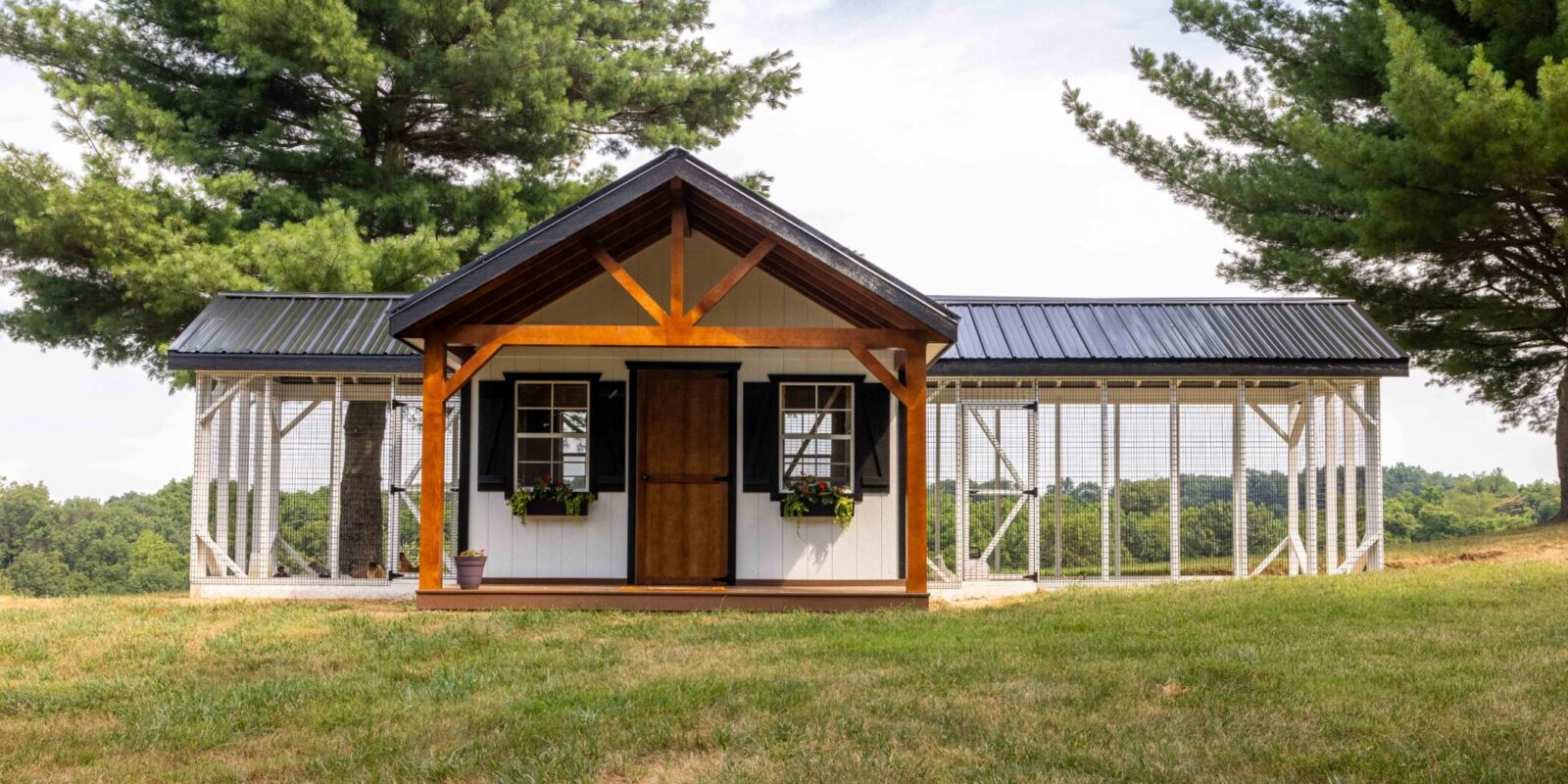 front view of white chicken coop with black metal roof front porch and two outdoor runs on either side