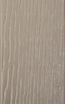 Taupe Tone Paint (1)