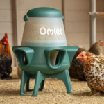 omlet feeder