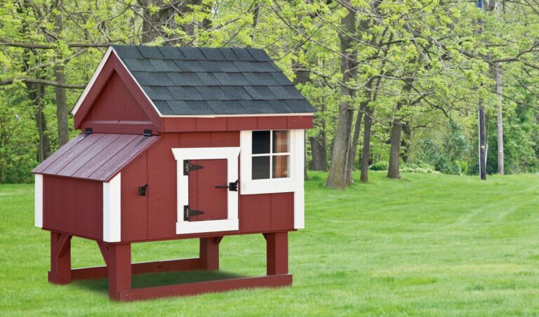 pictures of chicken coops 3x3