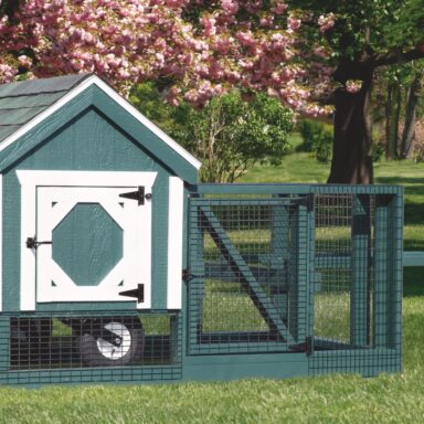 3x3 backyard chicken coops