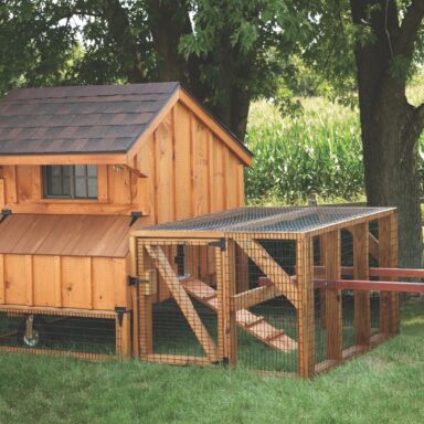 chicken coop tractor IMG 2334