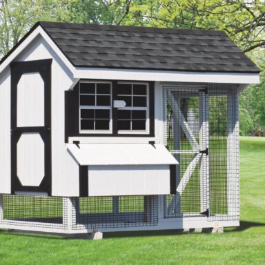 back yard chicken coops 6x8 combination