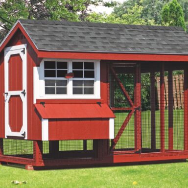 pictures of chicken coops and run 6x10 Combination 2