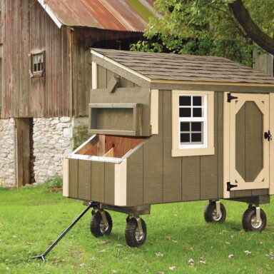 pictures of small chicken coops color