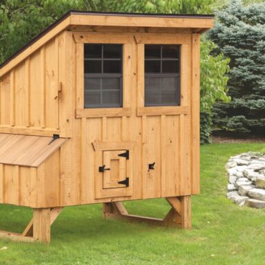 pictures of small chicken coops in pa