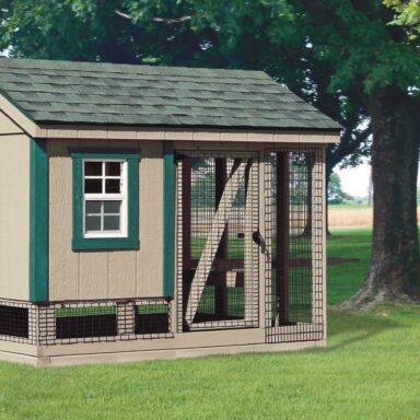 combination backyard chicken coop and run