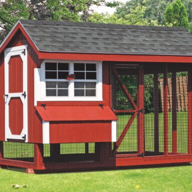 6x10 combination backyard chicken coop