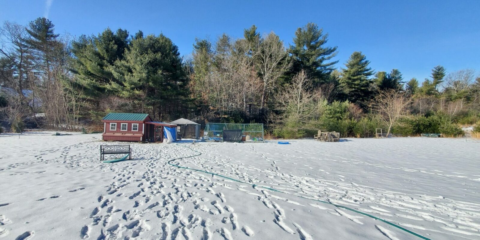 large chicken coop in winter
