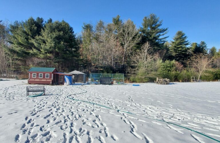 large chicken coop in winter