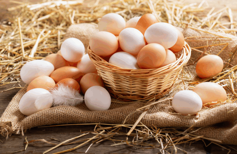 clean chicken coop eggs