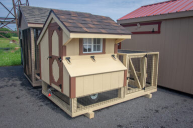 chicken coop keep your chickens safe