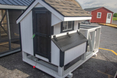 safe chicken coops