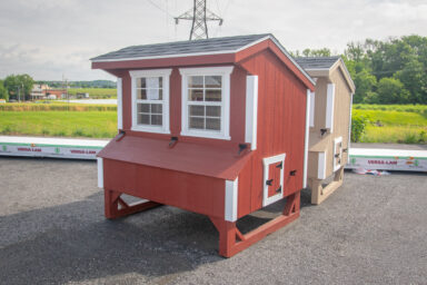 chicken coop 100