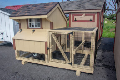 chickens house