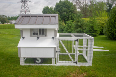 coop for chickens