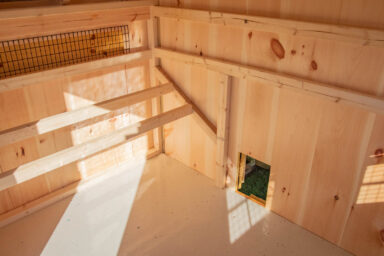 7x16 Combination Chicken Coop chickens