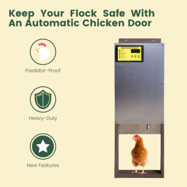 auto chicken coop door