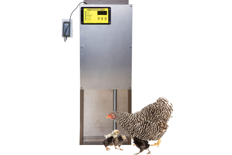 automatic chicken coop door