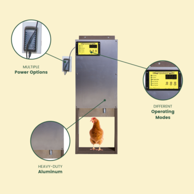 chicken coop door for sale
