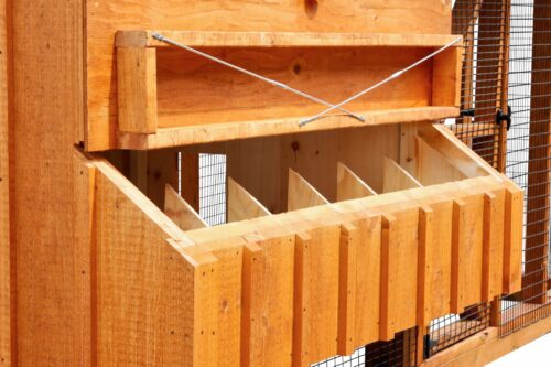 chicken coop and run BB Q612C 2