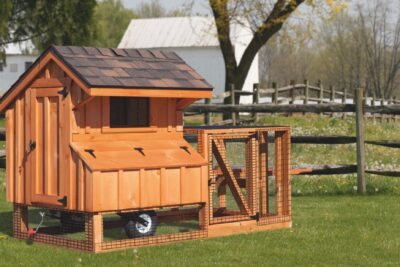 chicken coop tractor 3x4 stained tractor