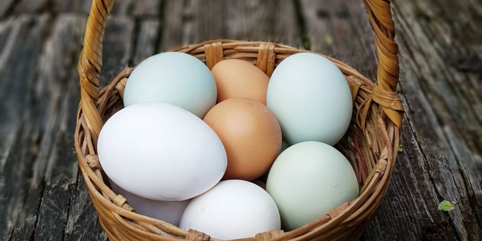 Basket of Multi Colored eggs