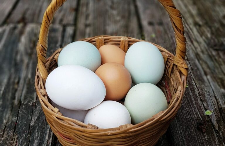 Basket of Multi Colored eggs